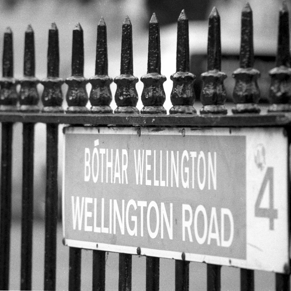 WELLINGTON ROAD Pictures